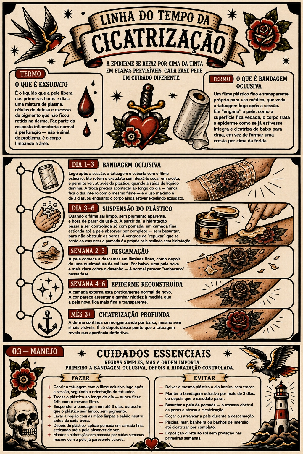 Infográfico ilustrado da linha do tempo de cicatrização da tatuagem, do dia 1 ao mês 3, incluindo definições de exsudato e bandagem oclusiva e a lista de cuidados essenciais